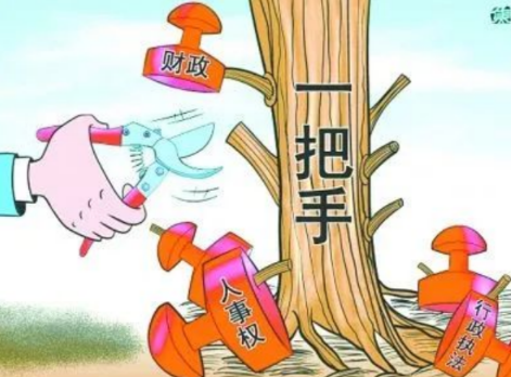 你確定你們的項目是“一把手工程”？